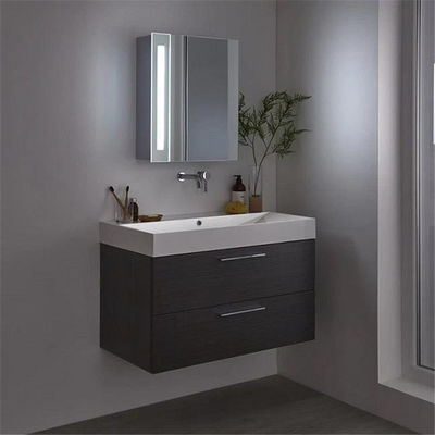 armário de banheiro 1460kgs/M3 impermeável, cacifo estratificado de HPL com espelho