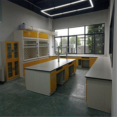 Armários de aço com 2 portas, armários de aço do laboratório ISO9001 do laboratório de 850mm